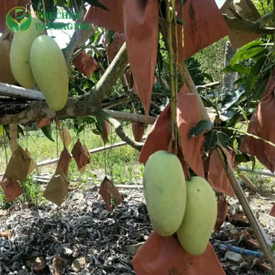 Fruit waterproof Growing Protection Bags Mango Paper Shoulder Cover Bag